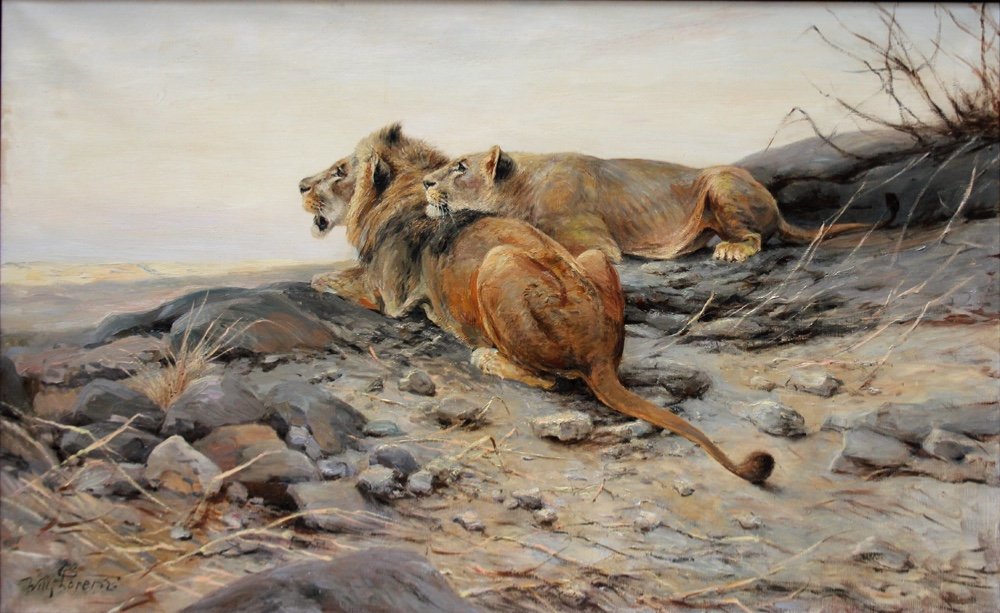 Tableau monumental « Lion et lionne » par Wilhelm Lorenz (allemand, 1901 - Cologne - 1981)-photo-2