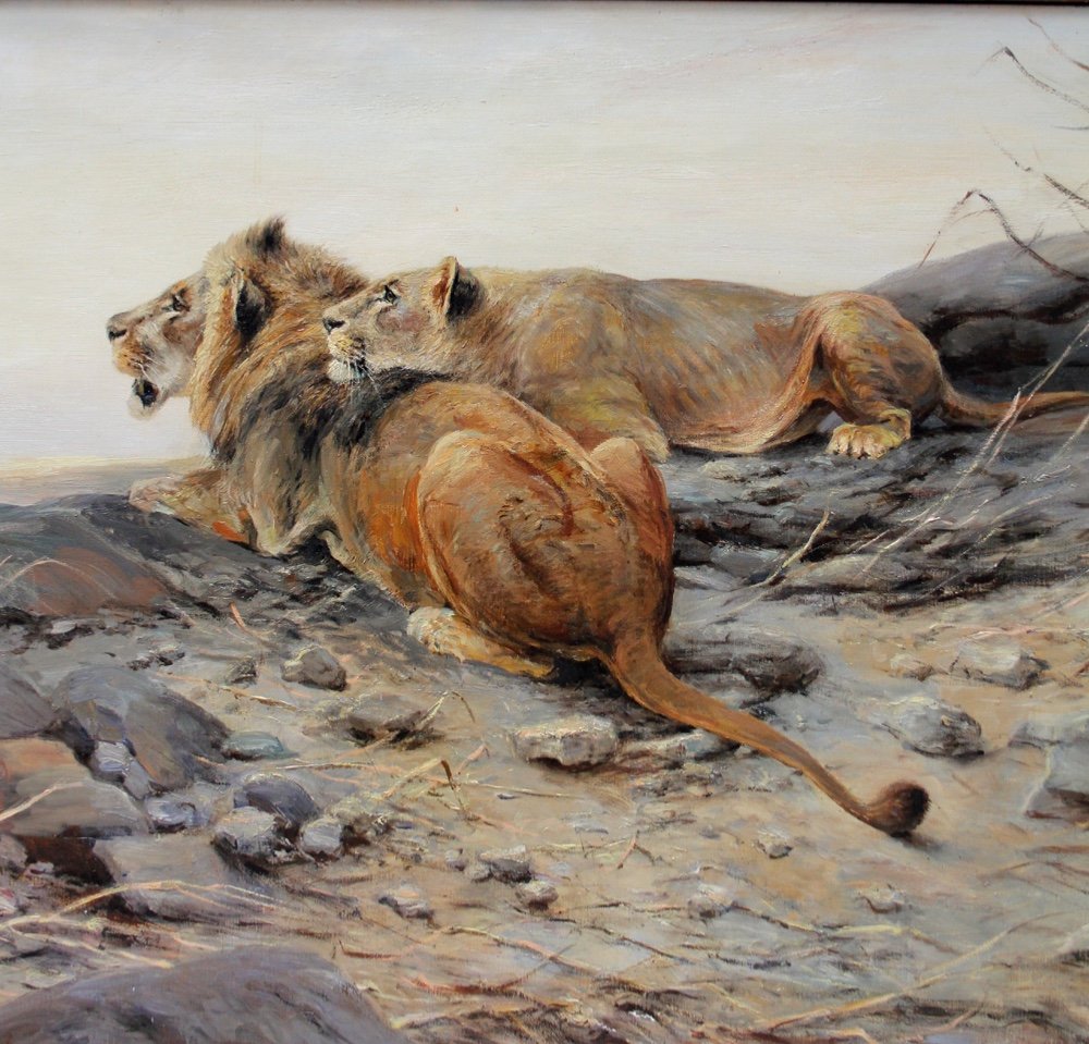 Tableau monumental « Lion et lionne » par Wilhelm Lorenz (allemand, 1901 - Cologne - 1981)-photo-3