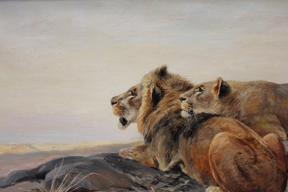 Tableau monumental « Lion et lionne » par Wilhelm Lorenz (allemand, 1901 - Cologne - 1981)-photo-1