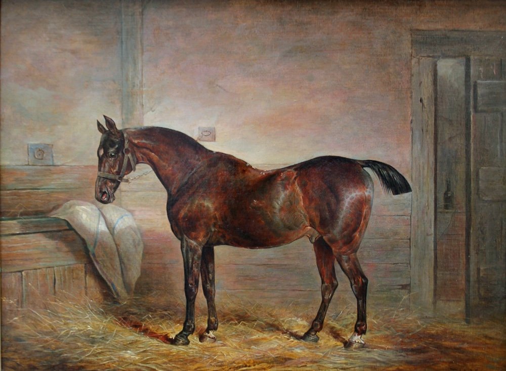 Cheval de course dans l'écurie par Thomas Hillier Mew (BRITANNIQUE, fl.1850-1875) -photo-2