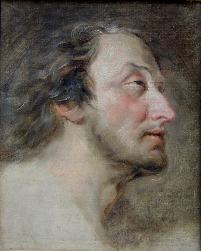 Étude de portrait masculin, Peter Paul Rubens (1577-1640), suiveur-photo-4