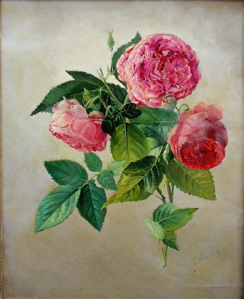 Oil Study Of Roses By Franz Komlósy (hungarian-austrian, 1817-1892)-photo-2