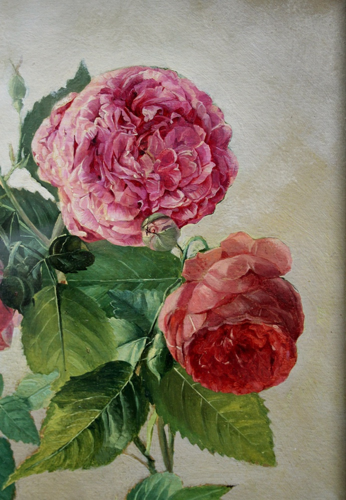 Oil Study Of Roses By Franz Komlósy (hungarian-austrian, 1817-1892)-photo-3