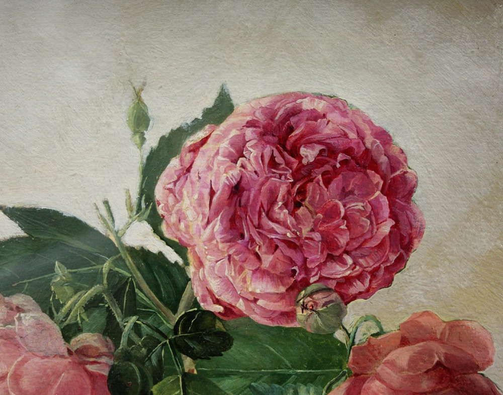 Oil Study Of Roses By Franz Komlósy (hungarian-austrian, 1817-1892)-photo-4