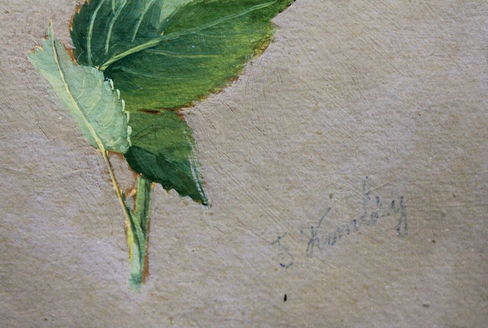 Oil Study Of Roses By Franz Komlósy (hungarian-austrian, 1817-1892)-photo-3