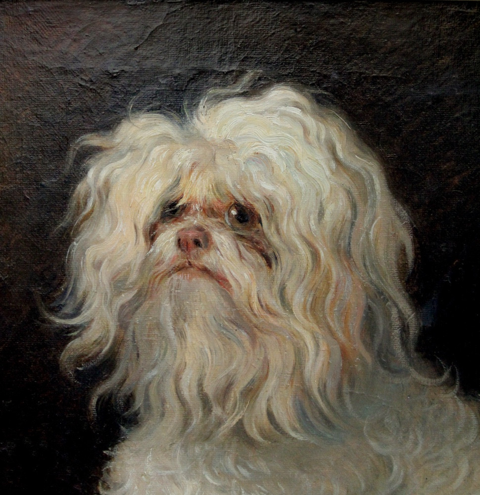 Portrait d'un chien maltais par Wilhelm Richter (Autrichien, 1824-1892)-photo-3