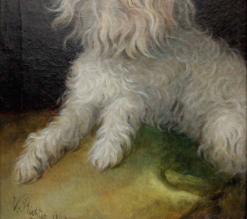 Portrait d'un chien maltais par Wilhelm Richter (Autrichien, 1824-1892)-photo-1