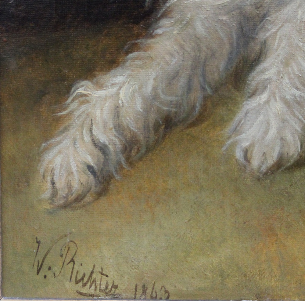 Portrait d'un chien maltais par Wilhelm Richter (Autrichien, 1824-1892)-photo-2