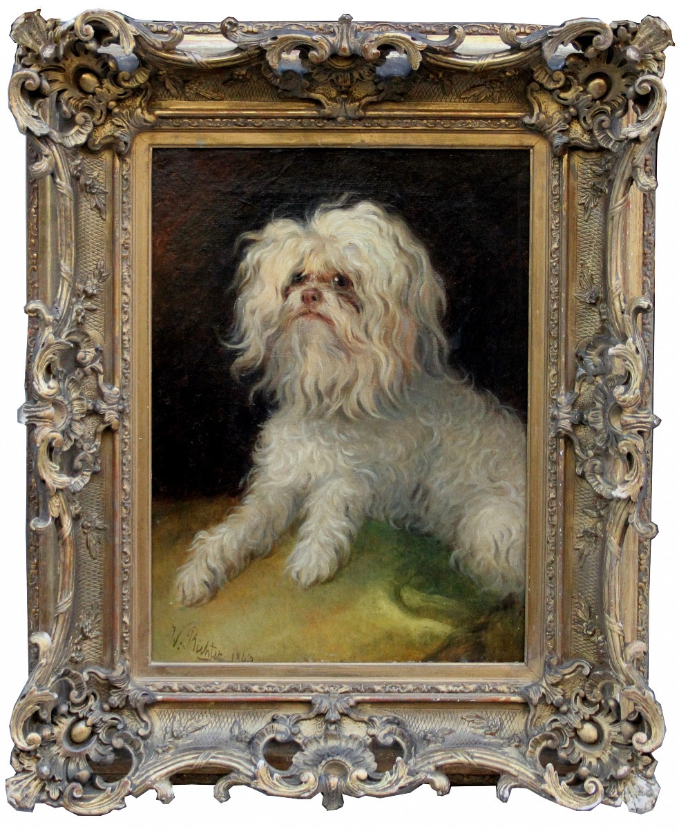 Portrait d'un chien maltais par Wilhelm Richter (Autrichien, 1824-1892)