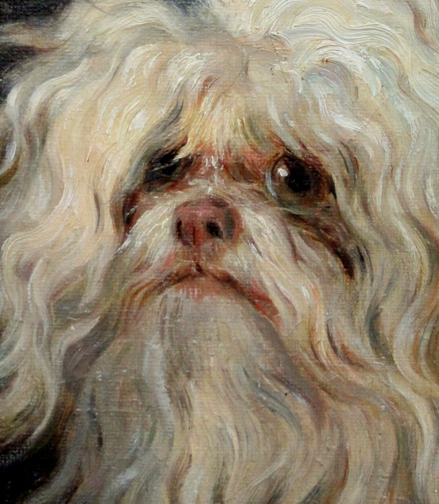 Portrait d'un chien maltais par Wilhelm Richter (Autrichien 1824-1892)-photo-4