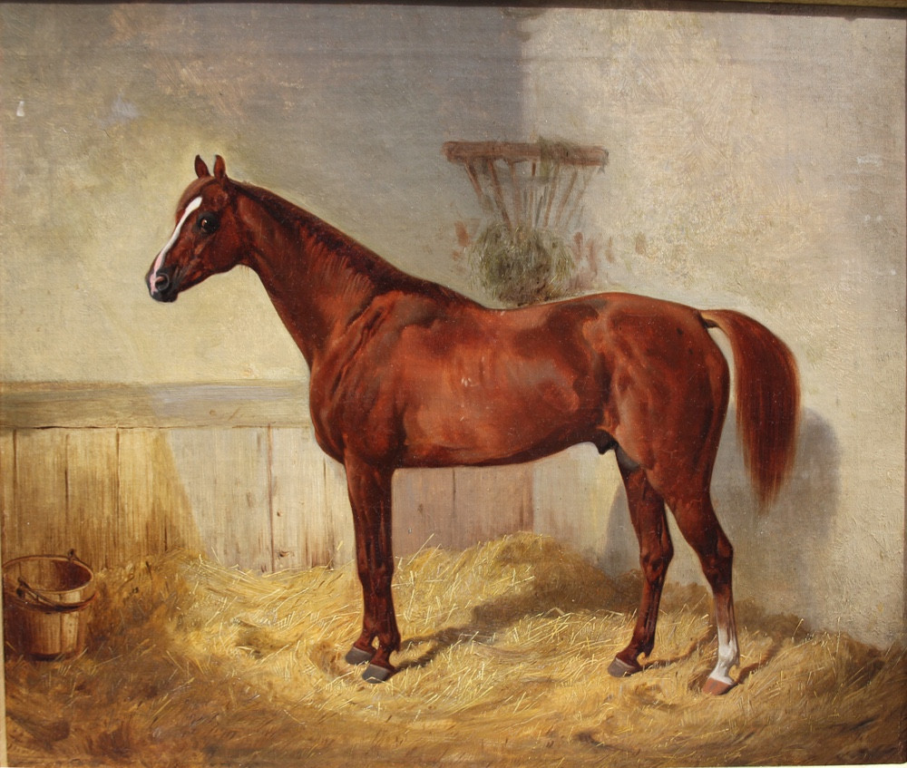 Cheval arabe brun nommé « Abdelkadr » dans l'écurie par Emil  Volkers (Allemand 1831 - 1905)-photo-2