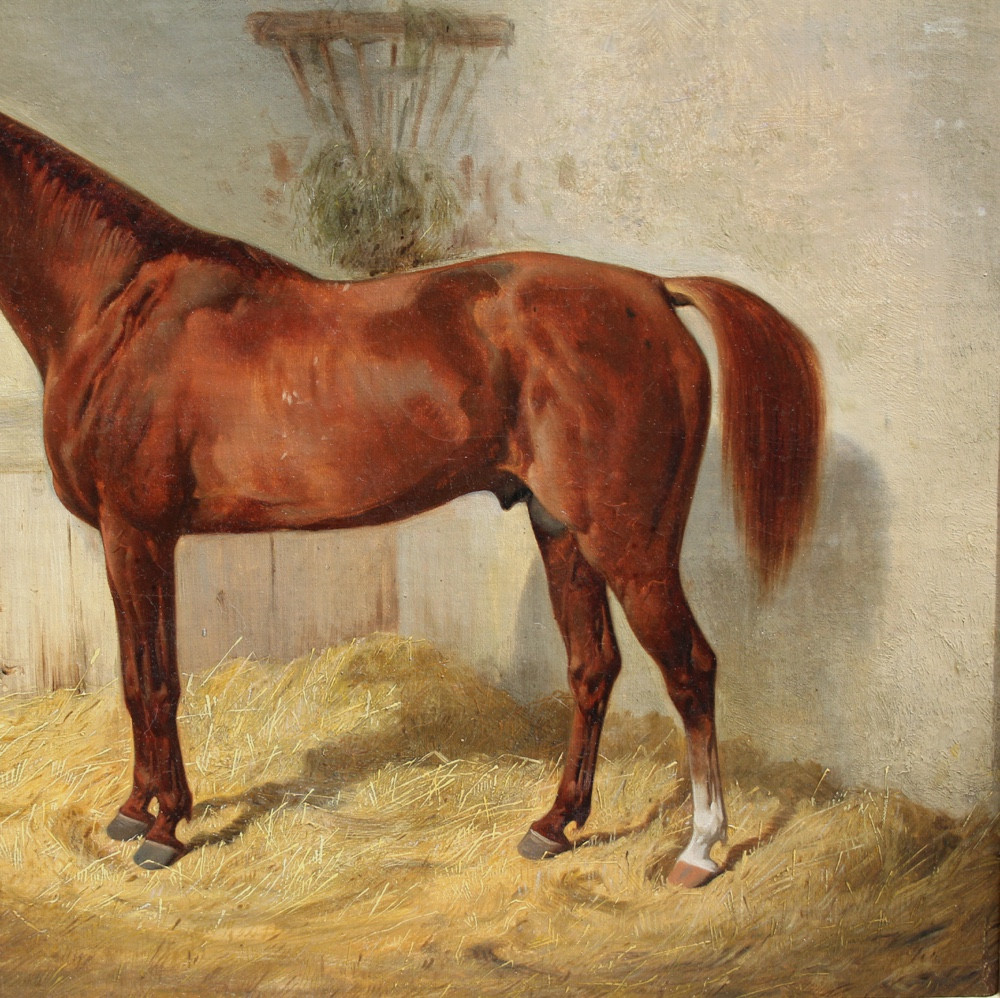 Cheval arabe brun nommé « Abdelkadr » dans l'écurie par Emil  Volkers (Allemand 1831 - 1905)-photo-4