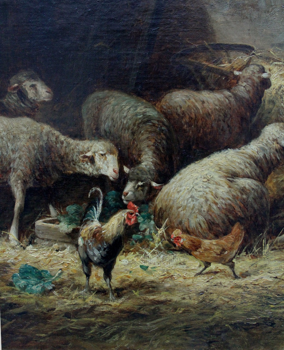 Moutons et poules dans une grange par Charles Maréchal (1865 - vers 1931)-photo-2