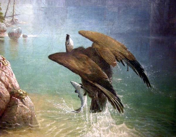 Eagle-hunter sur le lac de montagne par Friedrich Voltz ( allemand 1817-1886)-photo-3