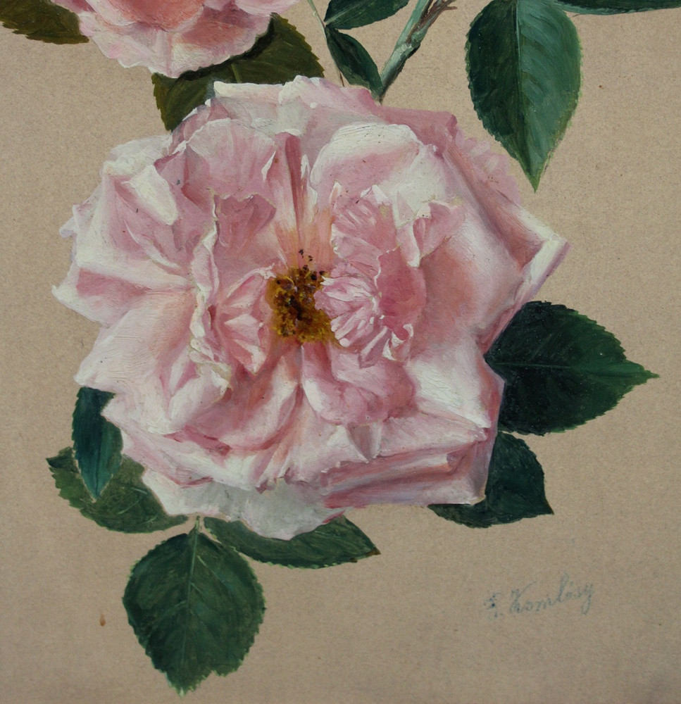 Oil Study Of A Bouquet Of Roses By Franz (ferenc) Komlósy (1817-1892)-photo-2