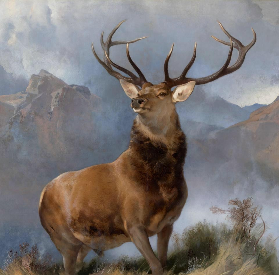 Monumental Hunting Painting “the Monarch Of The Glen” By Anton Schrödl (austrian 1823-1906)-photo-8