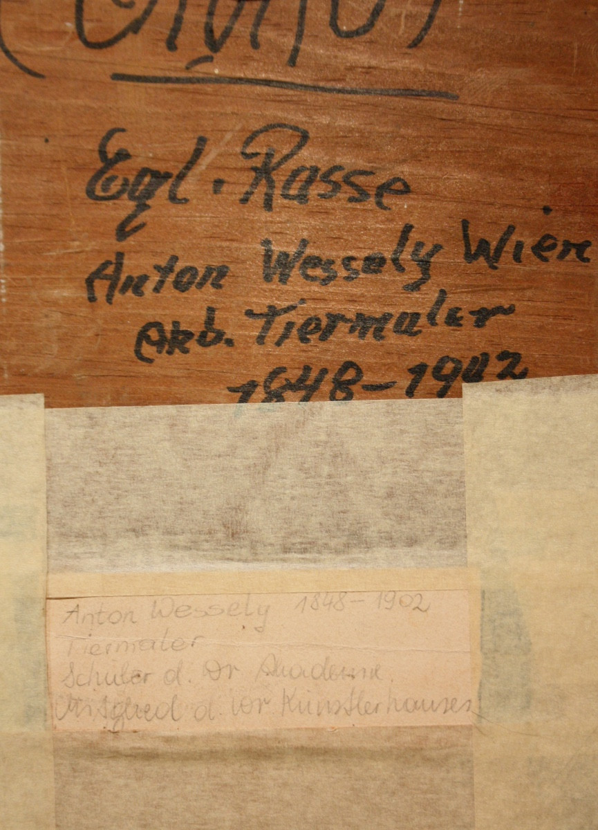 Portrait Of A West Highland White Terrier By Anton Wessely (austrian 1848 - 1908)-photo-3