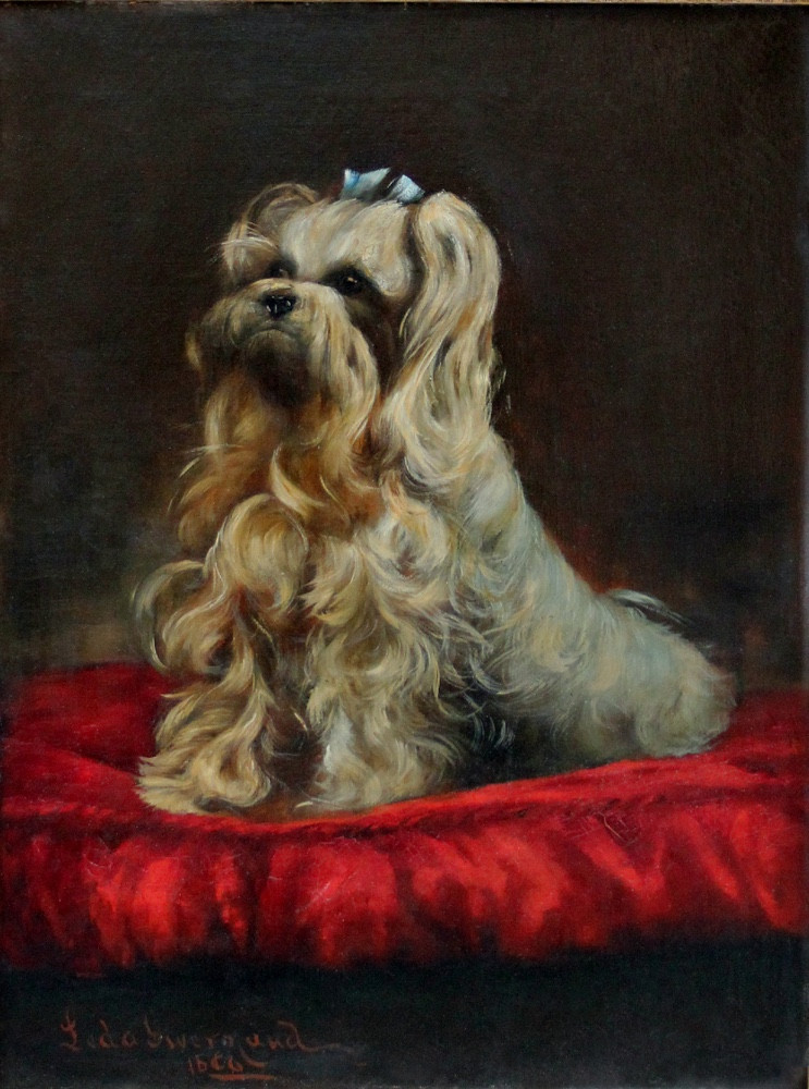 Portrait Of A Shih Tzu Dog By Leda Givernaud (french-american, Active At The End Of The 19th Century)-photo-2