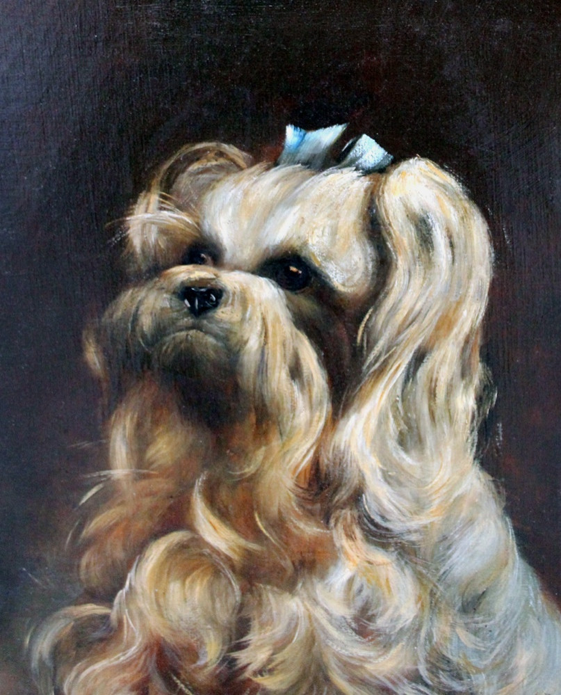 Portrait Of A Shih Tzu Dog By Leda Givernaud (french-american, Active At The End Of The 19th Century)-photo-3
