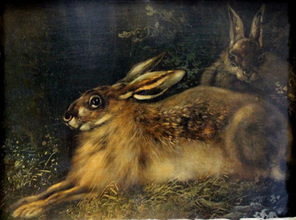 Lièvres en forêt par August Schleich (allemand, 1814-1865)