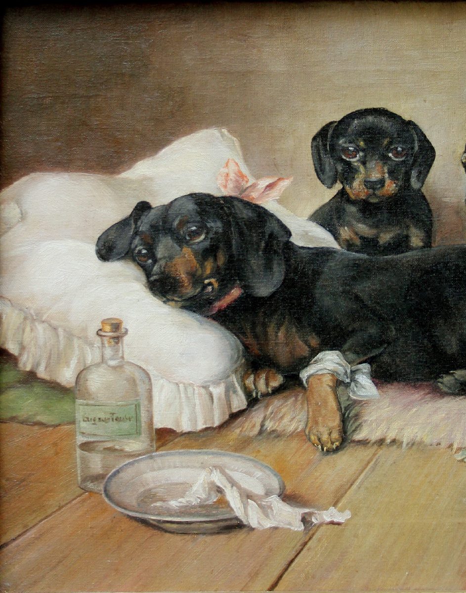 "sick Dachshund" By F. Winter (austrian, Active 1920–1950)-photo-4
