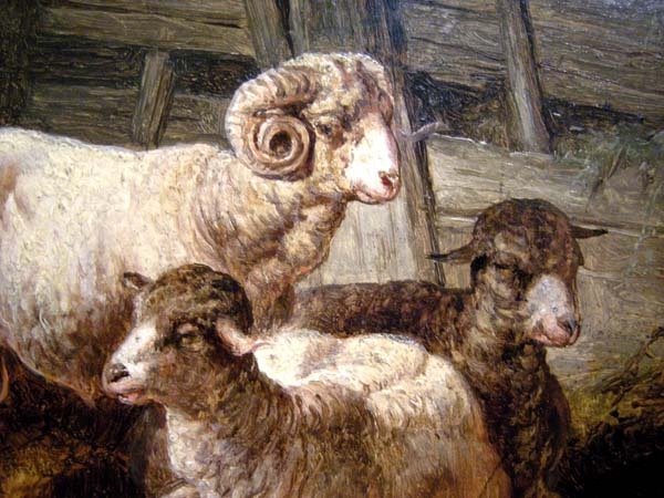 Moutons en décrochage par August Gerasch (autrichien 1822 - 1908)-photo-3
