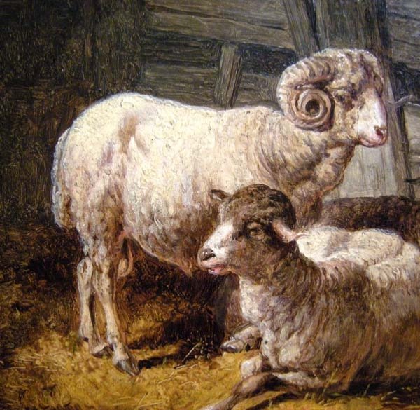 Moutons en décrochage par August Gerasch (autrichien 1822 - 1908)-photo-4
