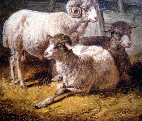 Sheep In Stall By August Gerasch (austrian 1822 - 1908)-photo-1