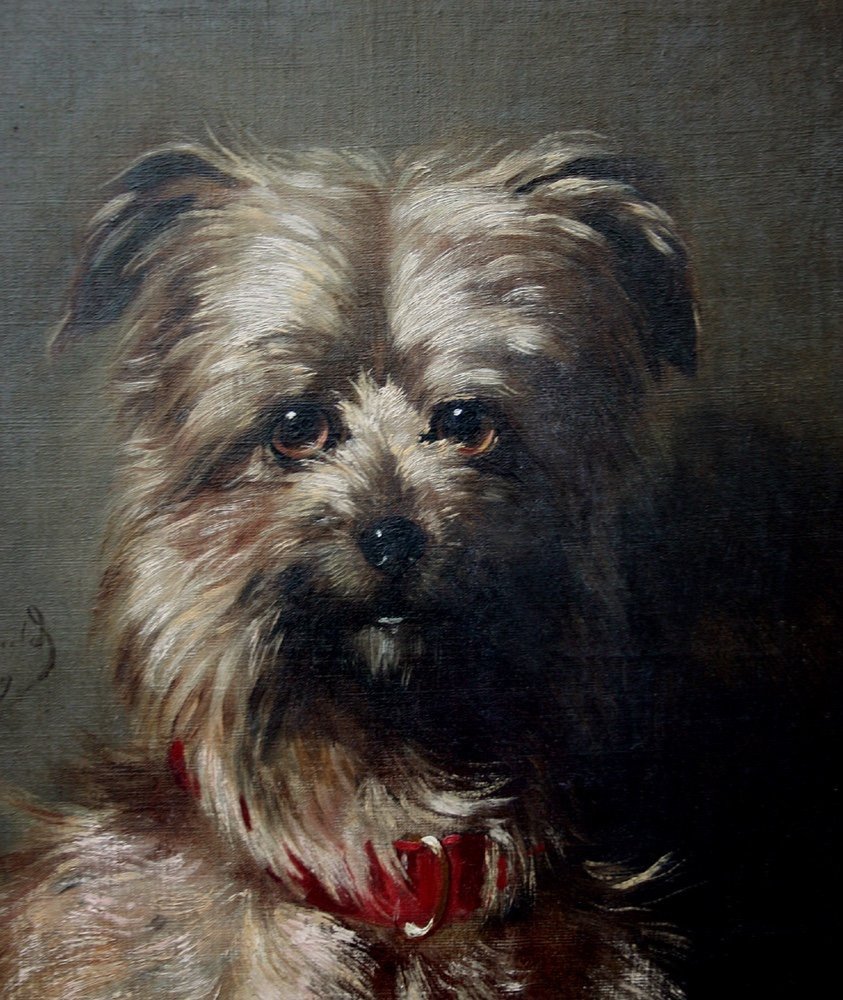 Portrait Of A Favorite Dog By Louis Robert Heyrault (french, Active 1840-1880)-photo-3