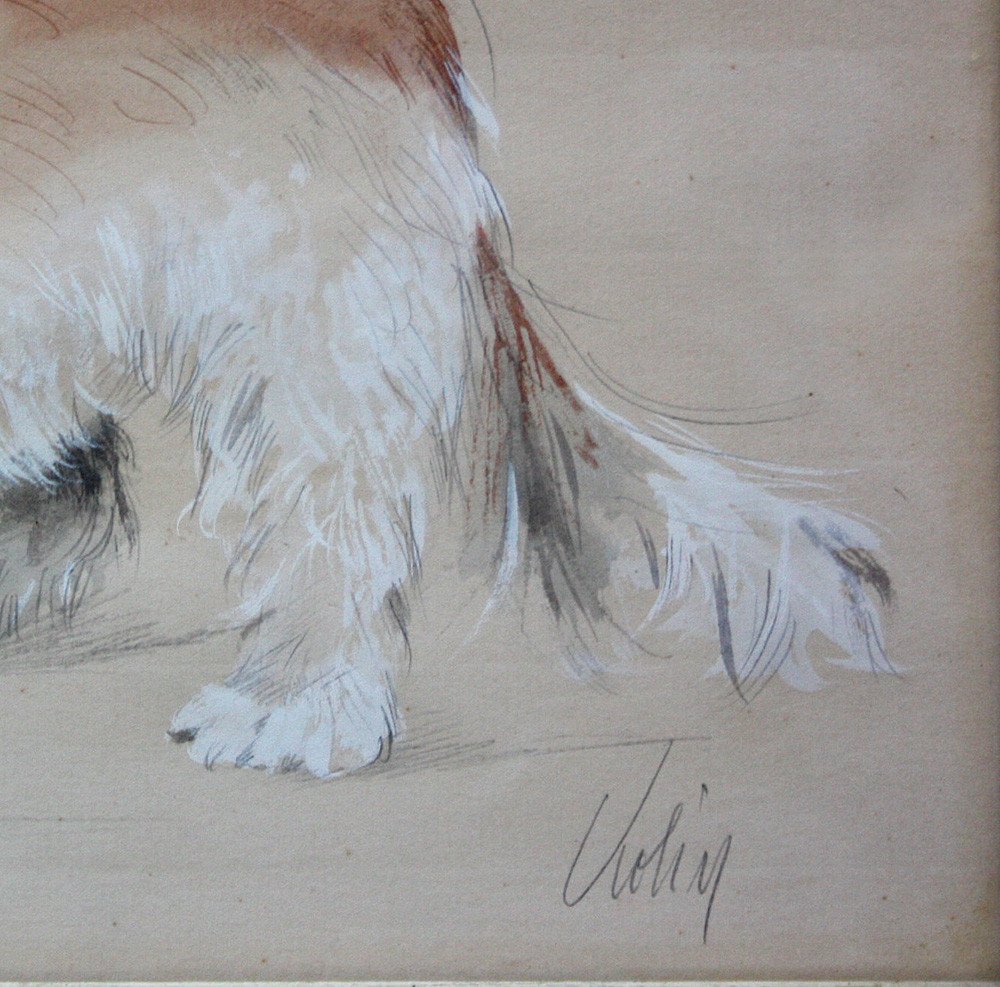 Portrait de chien maltais ou tibet terier par Kolin (français, début XXe siècle)-photo-4