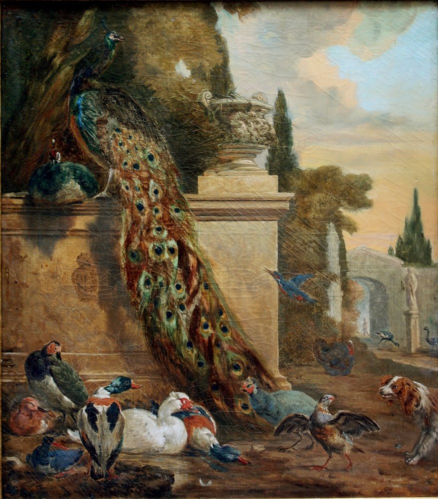 Melchior De Hondecoeter (1636 - 1695) Disciple De, Peacocks And Other Birds In A Castle Park-photo-2