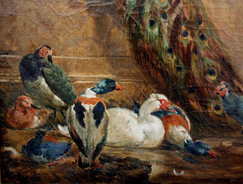 Melchior de Hondecoeter (1636 - 1695) disciple, Paons et autres oiseaux dans un parc du château-photo-4