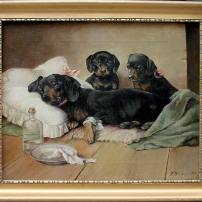 Premiere-Image-1791769