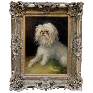Portrait d'un chien maltais par Wilhelm Richter (Autrichien 1824-1892)