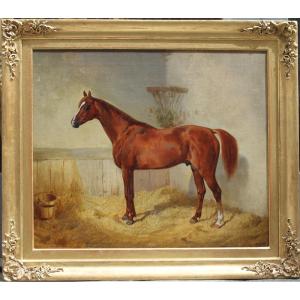 Cheval arabe brun nommé « Abdelkadr » dans l'écurie par Emil  Volkers (Allemand 1831 - 1905)