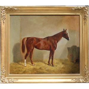 Cheval arabe brun nommé « Gondolina » dans l'écurie par Emil Volkers (Allemand 1831 - 1905)