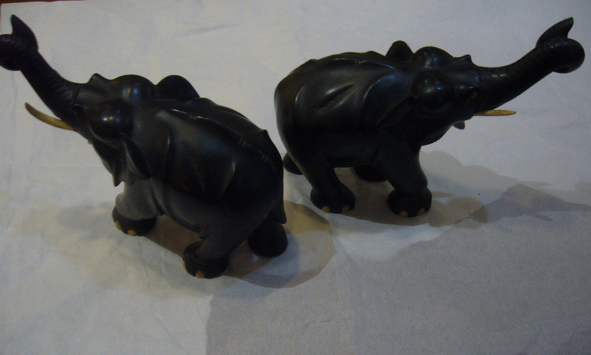 Elephants En Paire Asie-photo-3