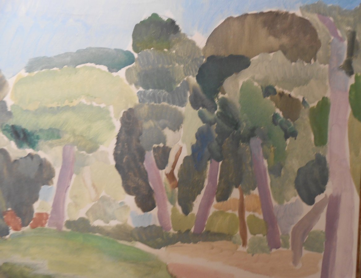 Paysage du Var  Théodore Schempp-photo-2