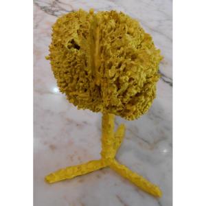 Yellow Sponge Structure Daniél Alleman
