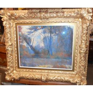 Sous bois dans la brume  Georges  Bradberry