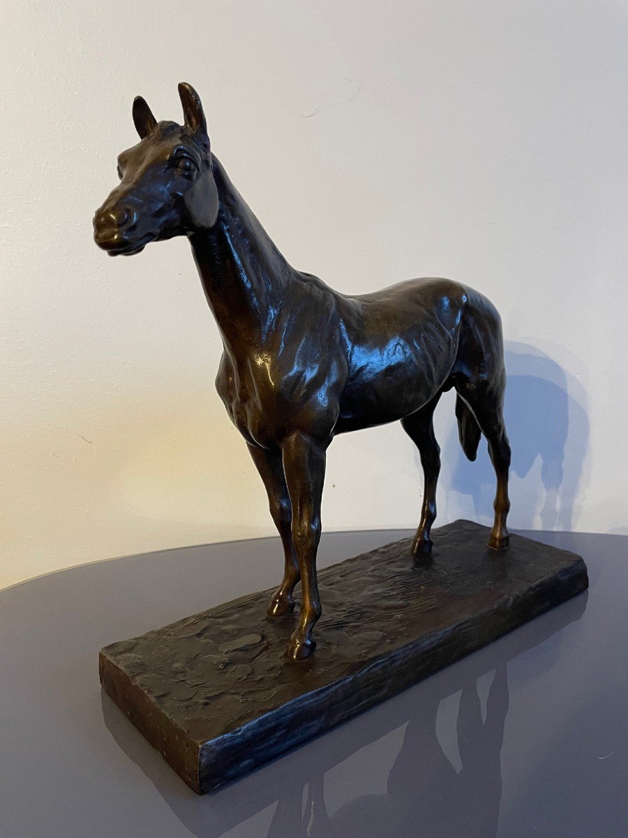 Bronze, Horse With Brown Patina Signed By René Papa, Early 20th Century-photo-4