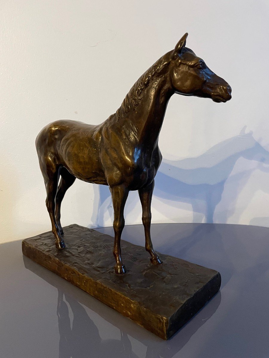 Bronze, Horse With Brown Patina Signed By René Papa, Early 20th Century-photo-1