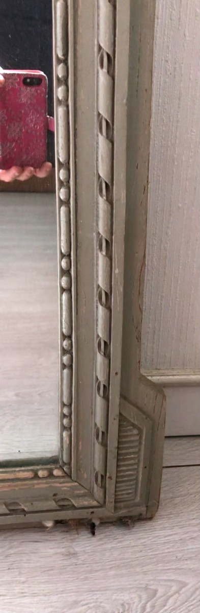 Trumeau en bois patine aux attributs du jardinier XIXeme -photo-4