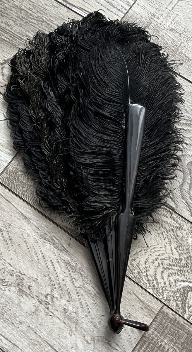 Éventail en plumes d autruches noires epoque fin XIX eme-photo-3