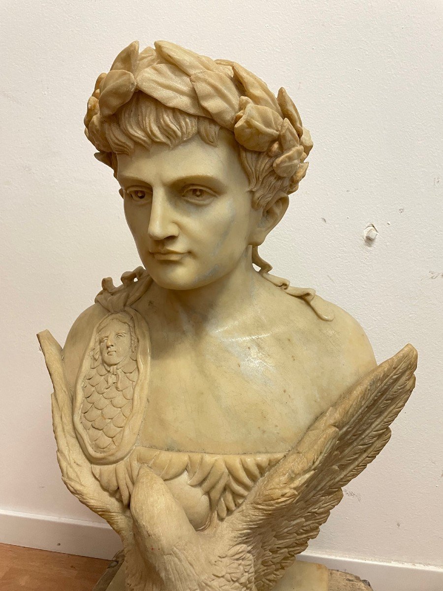 Proantic: Napoleon Bust