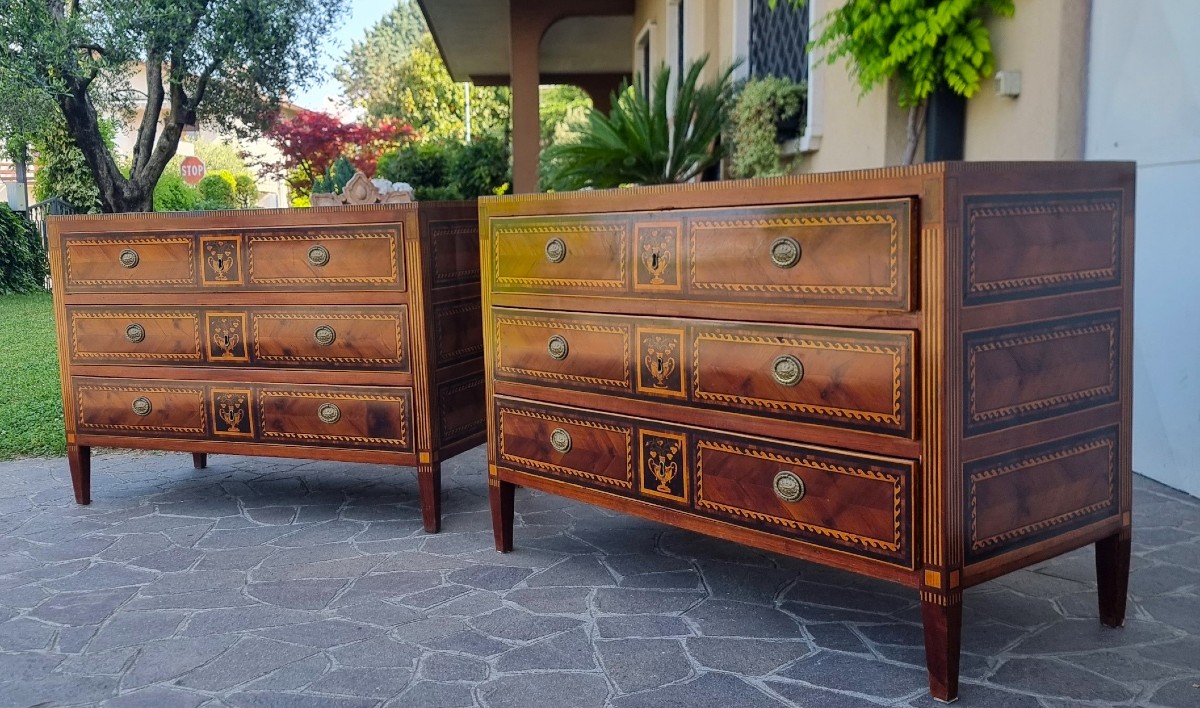 Paire de commodes du XVIIIe siècle Directoire Napolitain noyer érable amarante et bois de rose-photo-2