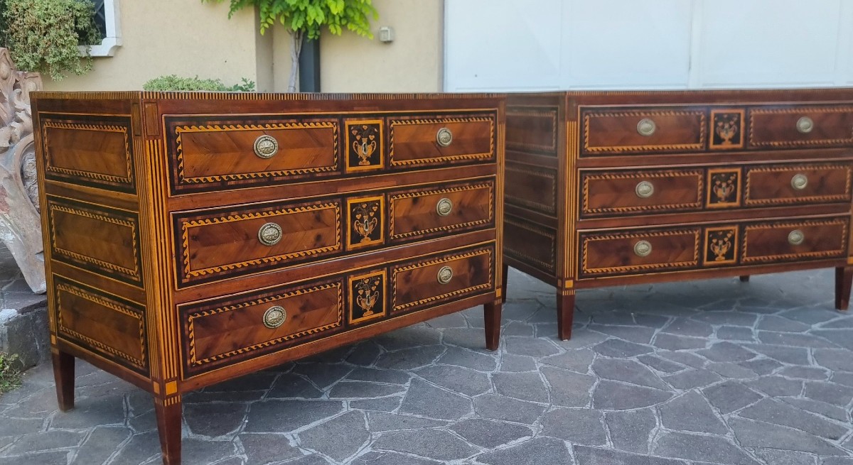Paire de commodes du XVIIIe siècle Directoire Napolitain noyer érable amarante et bois de rose-photo-3