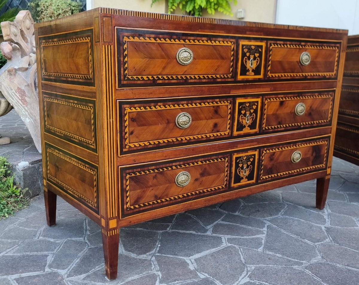 Paire de commodes du XVIIIe siècle Directoire Napolitain noyer érable amarante et bois de rose-photo-4