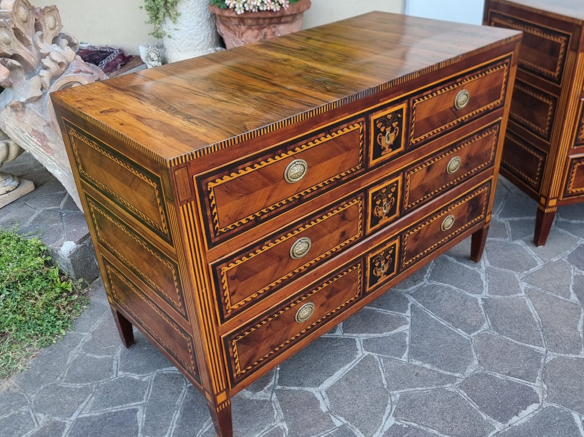Paire de commodes du XVIIIe siècle Directoire Napolitain noyer érable amarante et bois de rose-photo-2