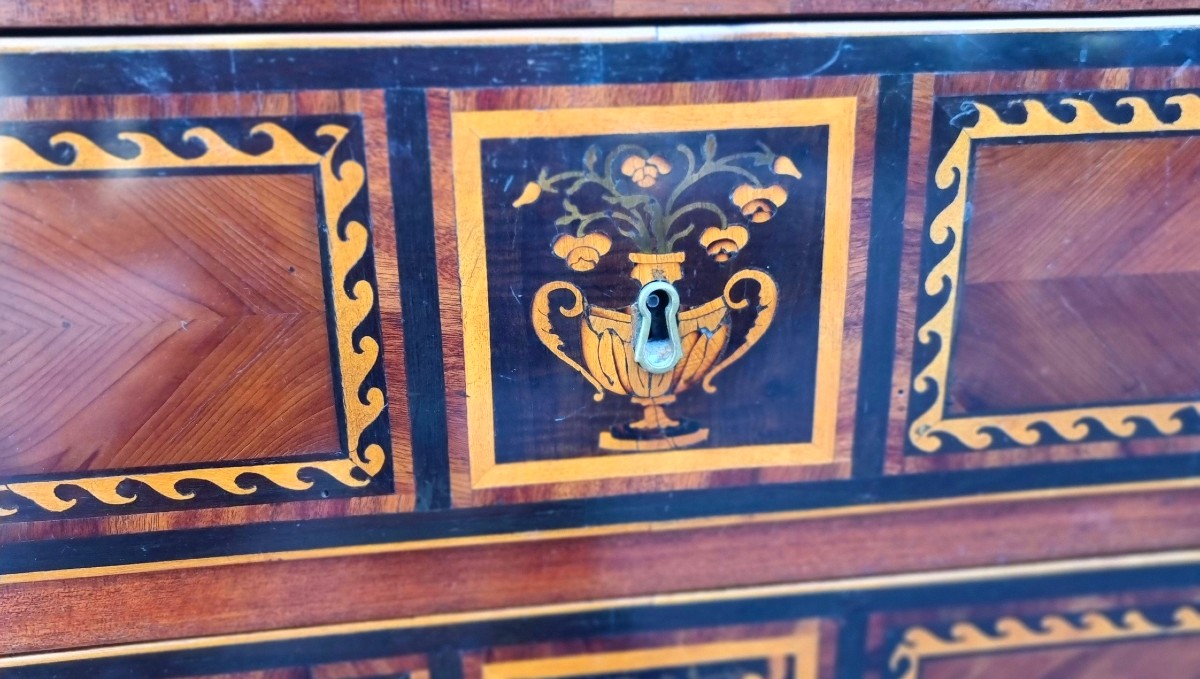 Paire de commodes du XVIIIe siècle Directoire Napolitain noyer érable amarante et bois de rose-photo-4